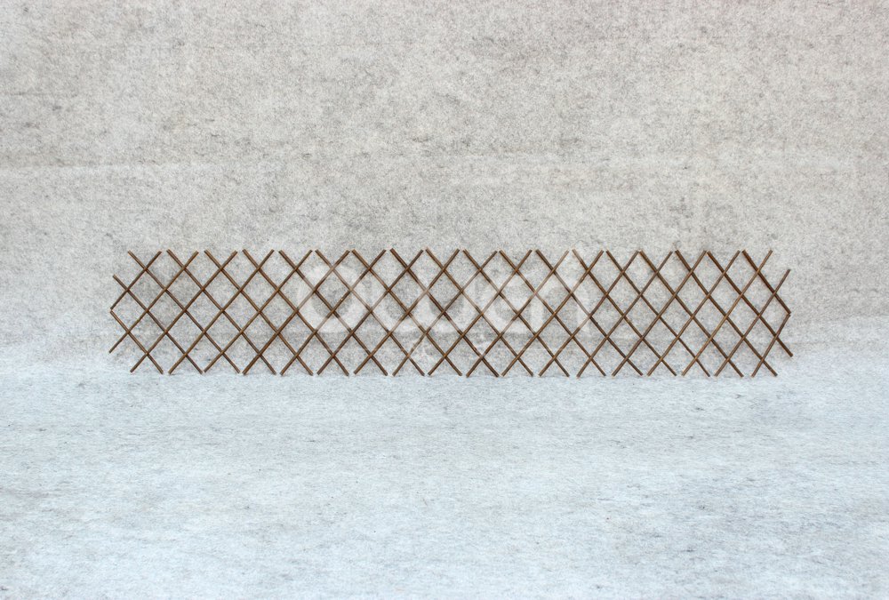 Willow trellis