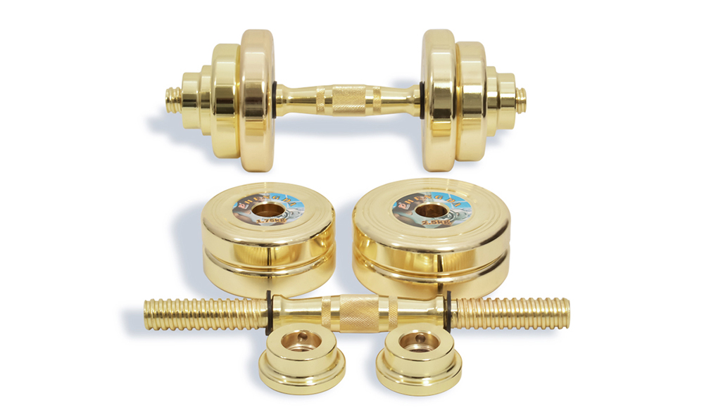 Steel golden dumbbell set 20KG
