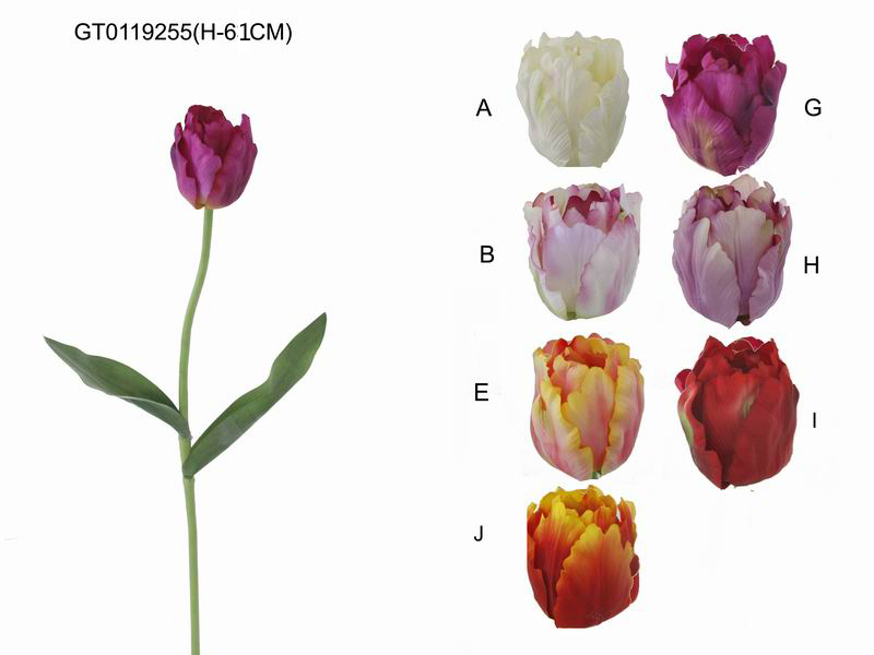 Single tulip (H-61CM)
