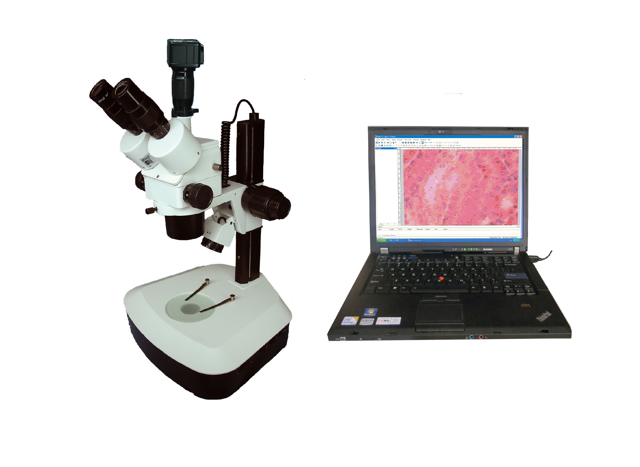 Digital Video Microscope XTS30-CM2