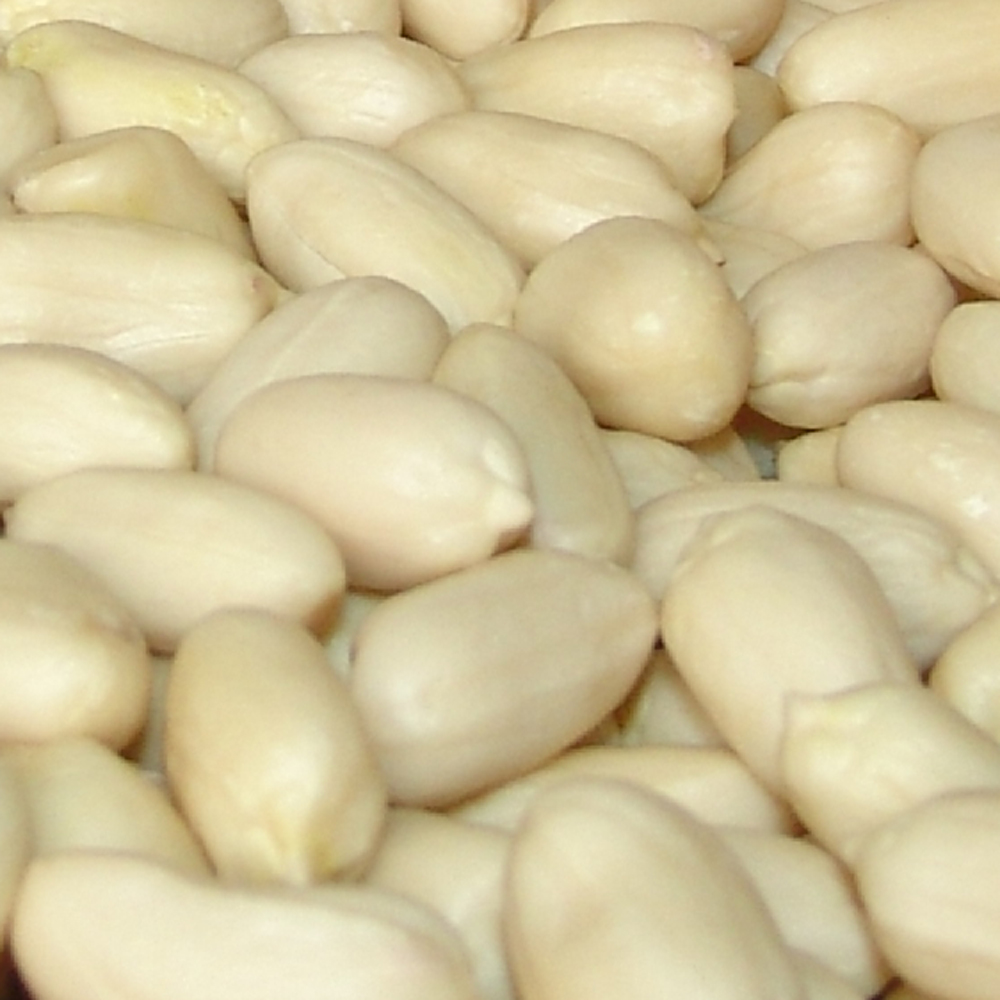 blanched peanuts