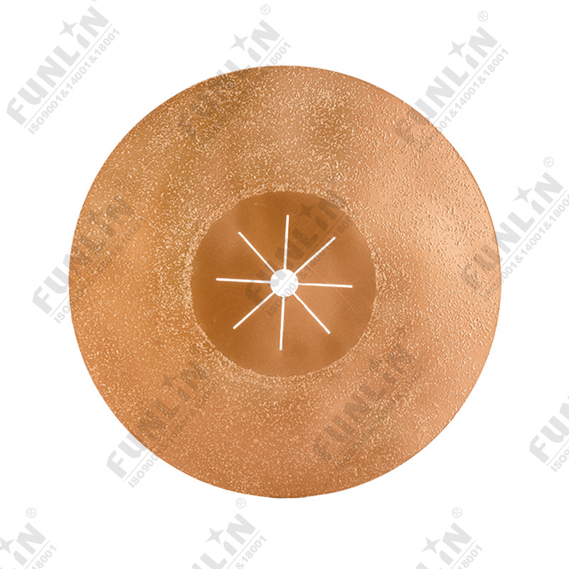 Carbide gritted disc