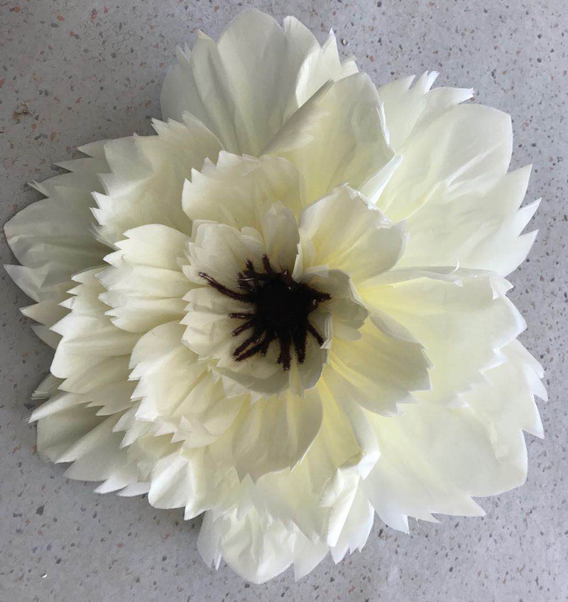 Spring Decorations(Paper Flower)