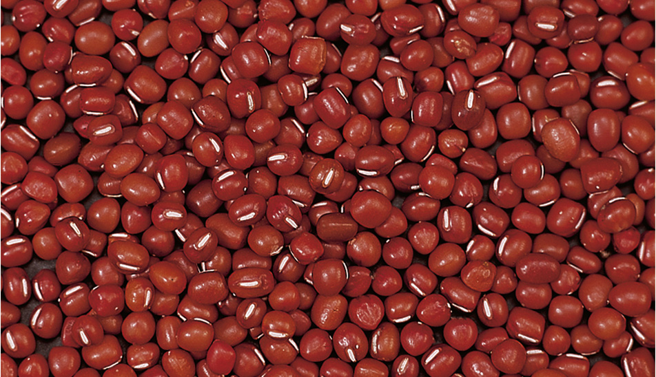 Small Red Beans