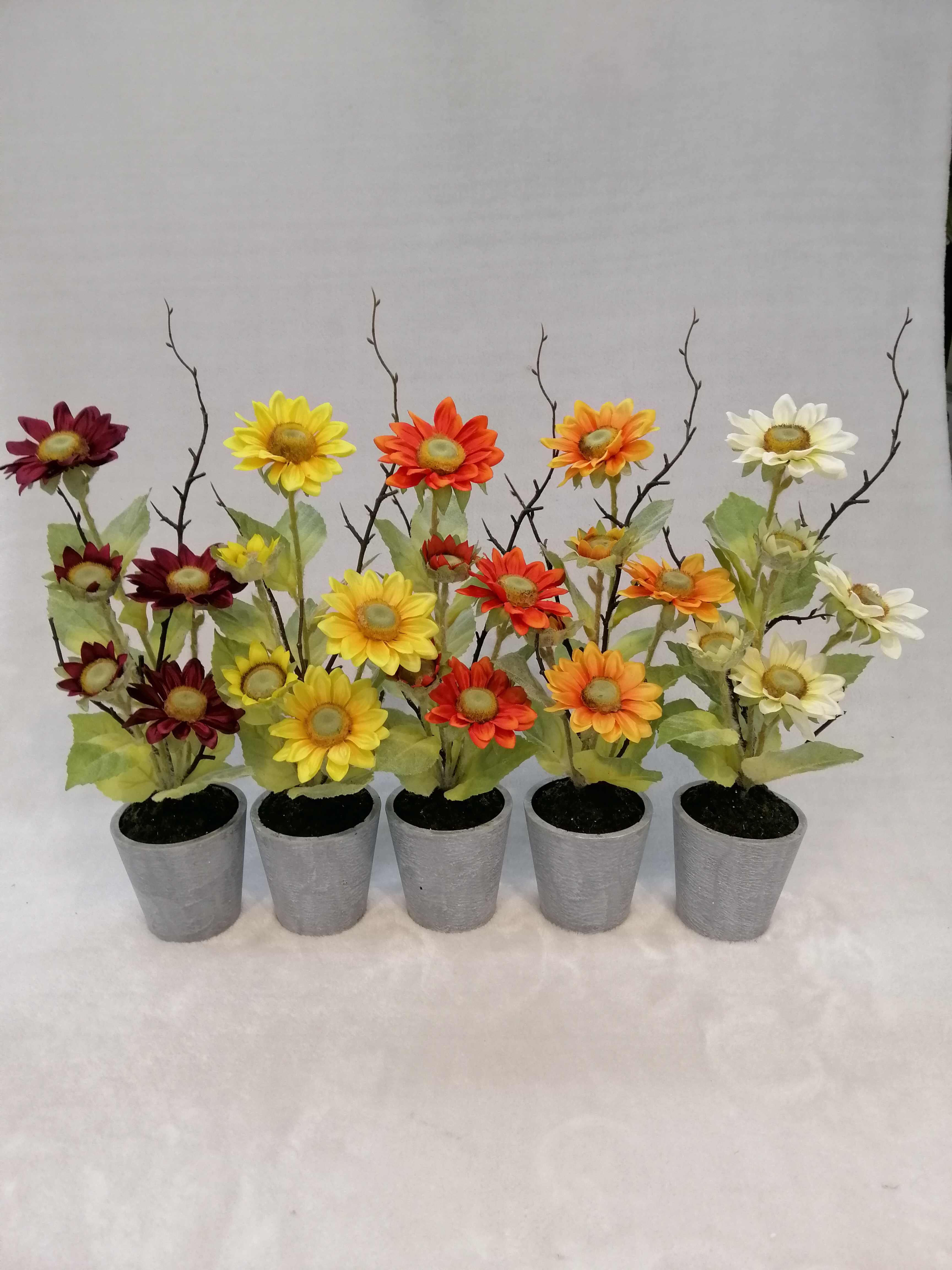 Mid-Potted Sunflower