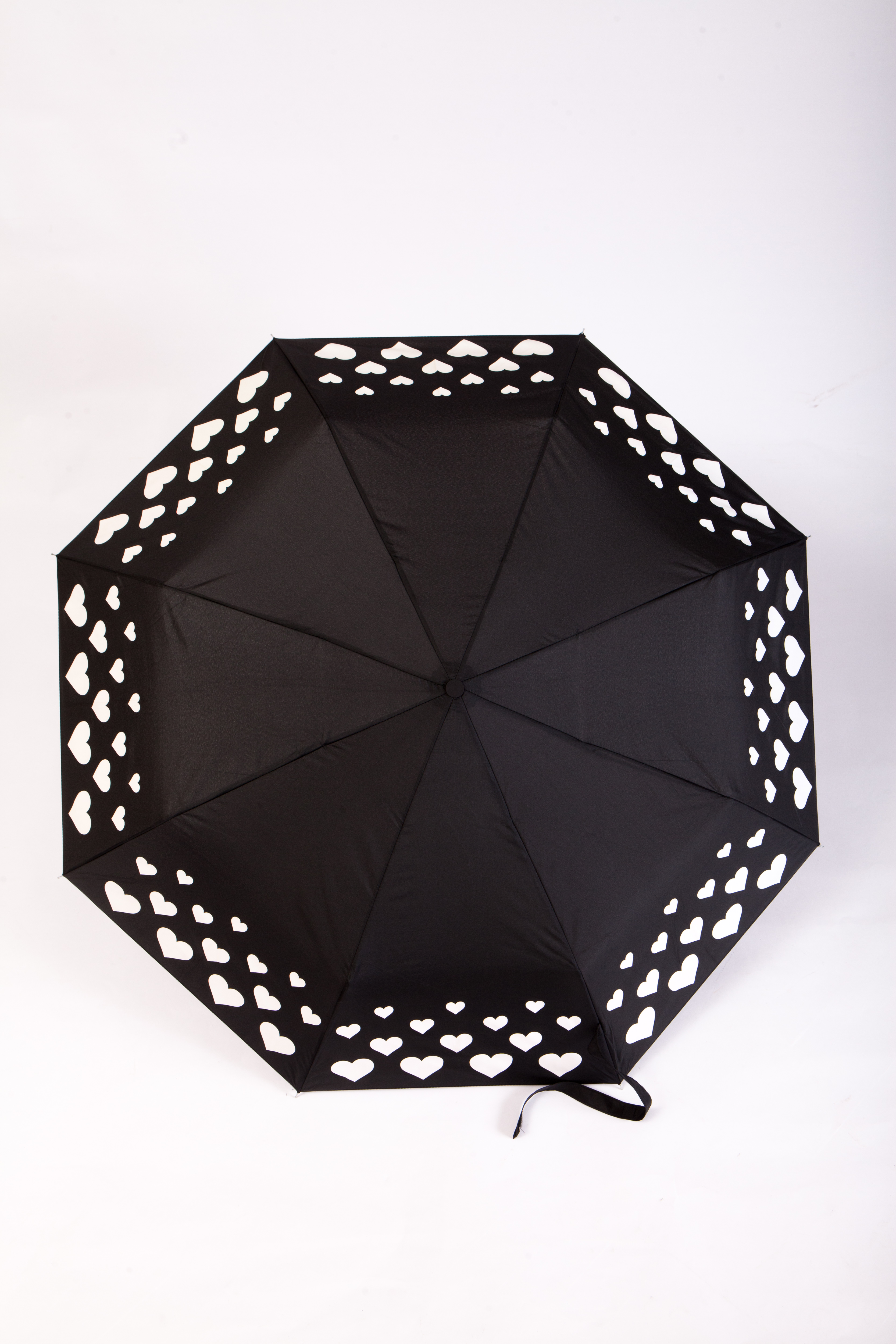 Color Changing Umbrella