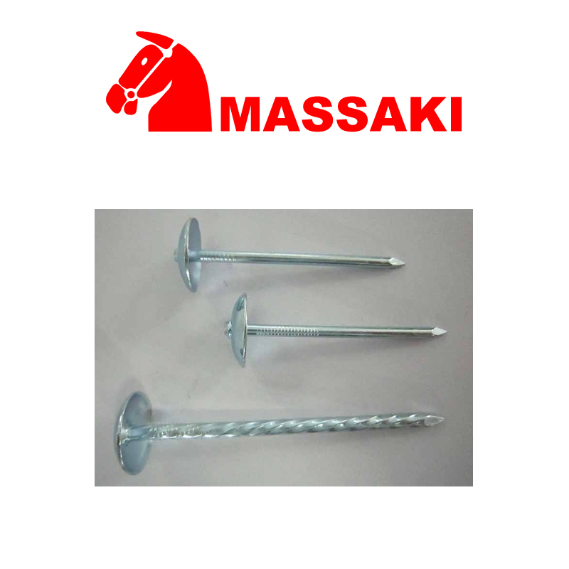 Roofing Nail