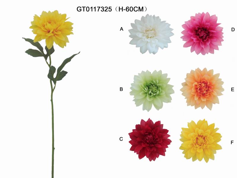 Single dahlia(H-60CM)