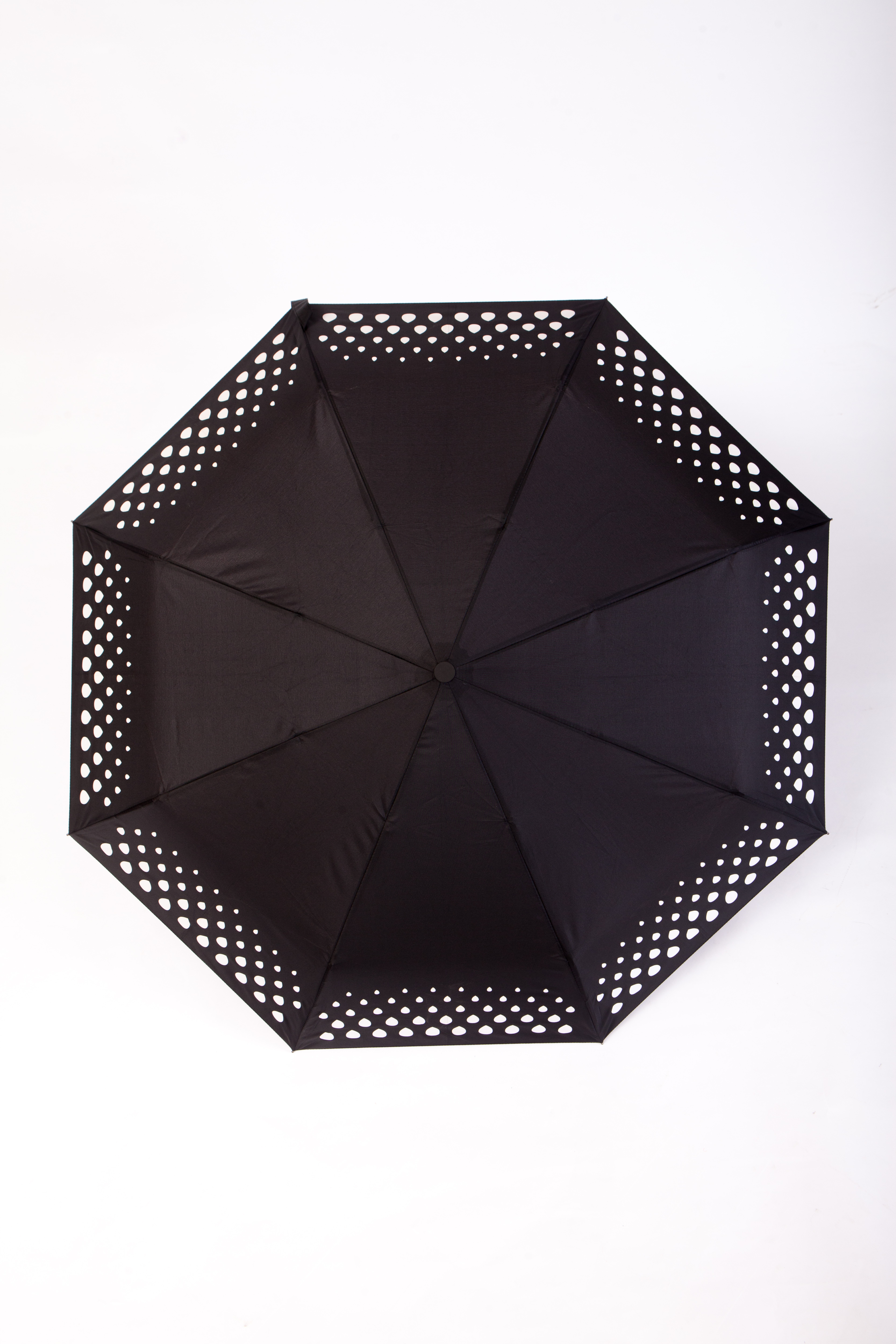 Color Changing Umbrella