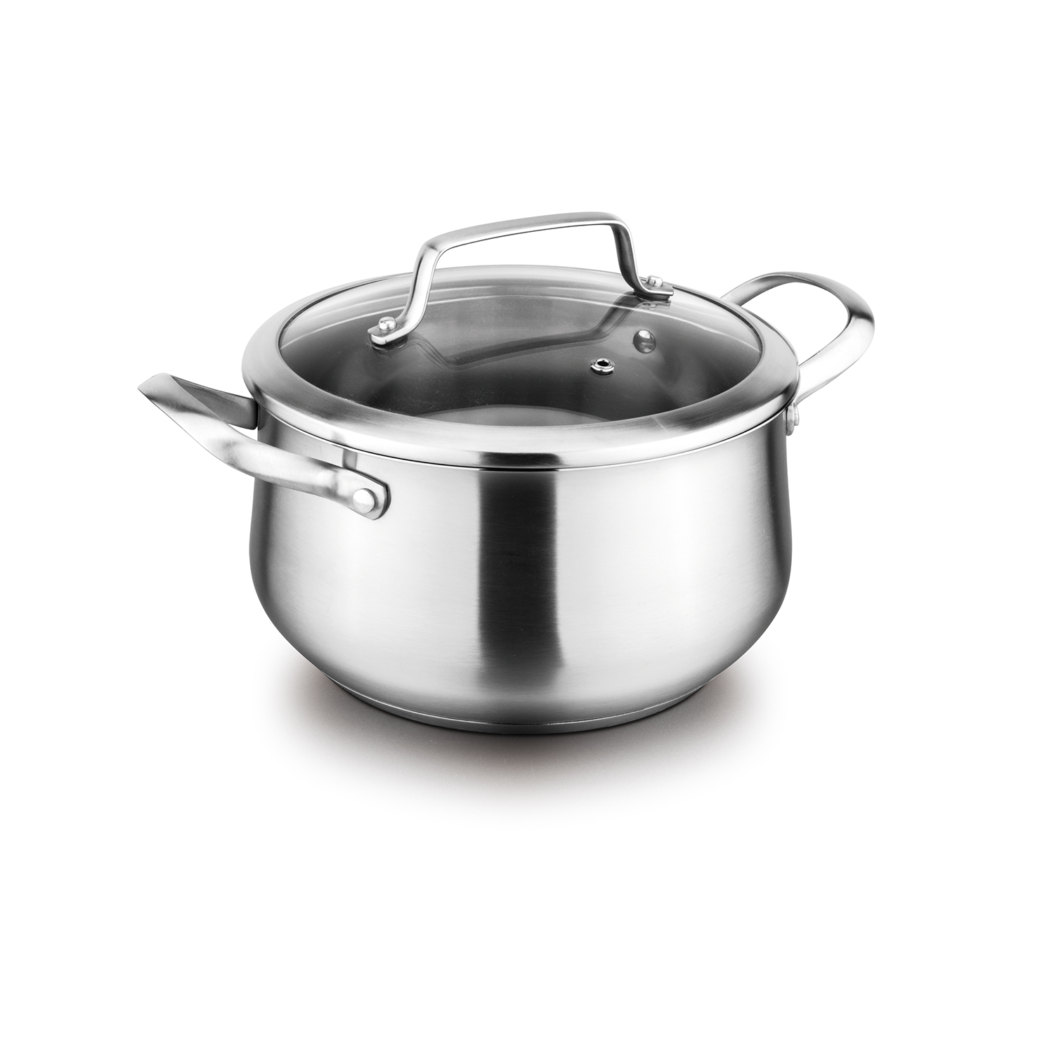 Stainless Steel Stock Pot