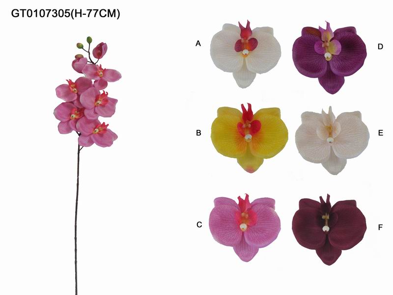 Single phalaenopsid x7(H-76CM)*