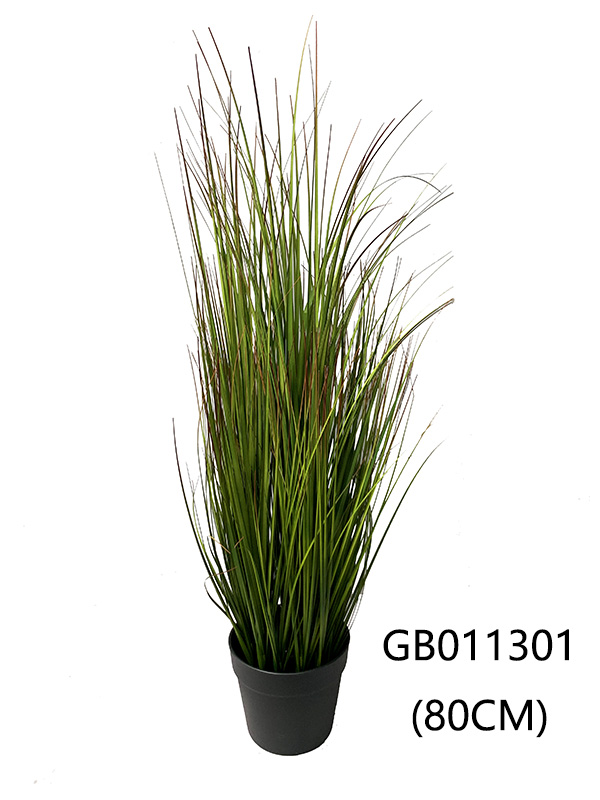 Grass in plastic pot (H-80cm)