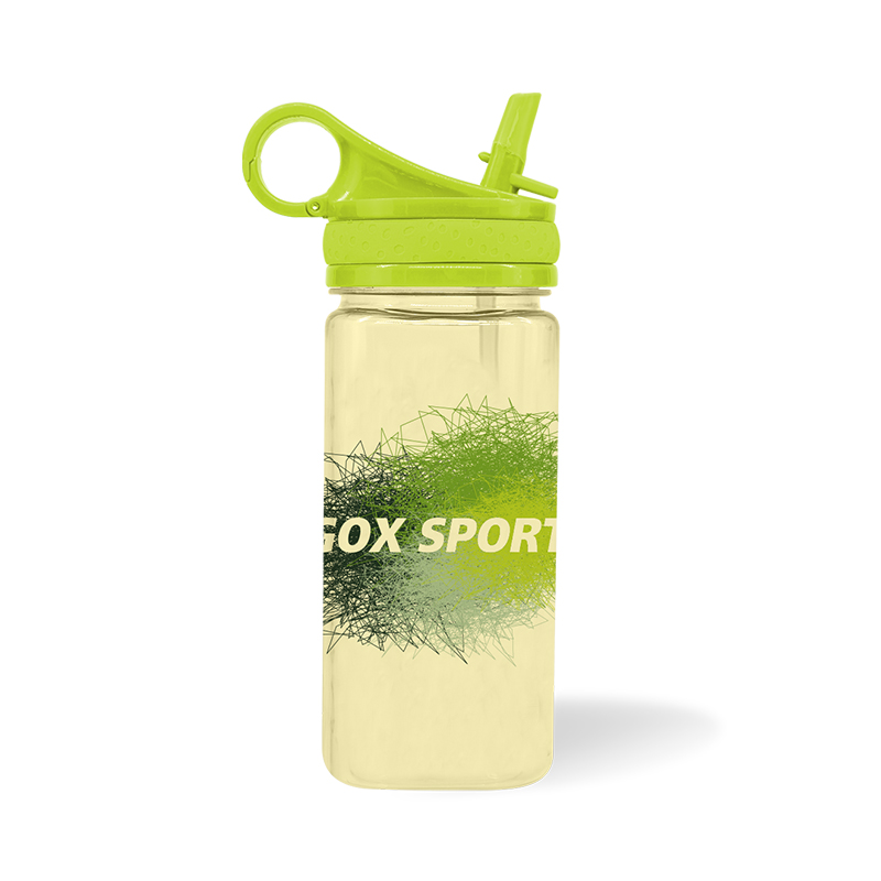 GOX Kids Tritan BPA Free Water Bottle with straw with Carry Handle
