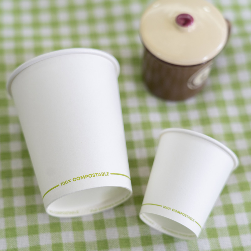 Insulated Single Wall Coffee Paper Cup With Lid