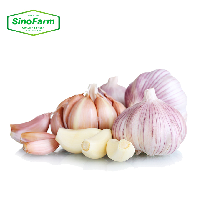 Fresh Garlic, 500g*20, 10kg/carton