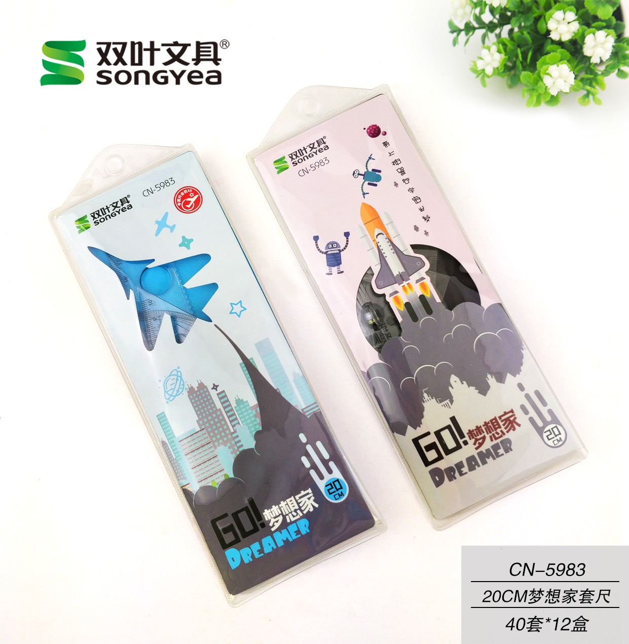 Transparent ruler