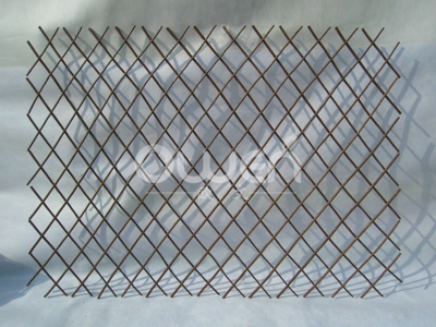 Willow trellis