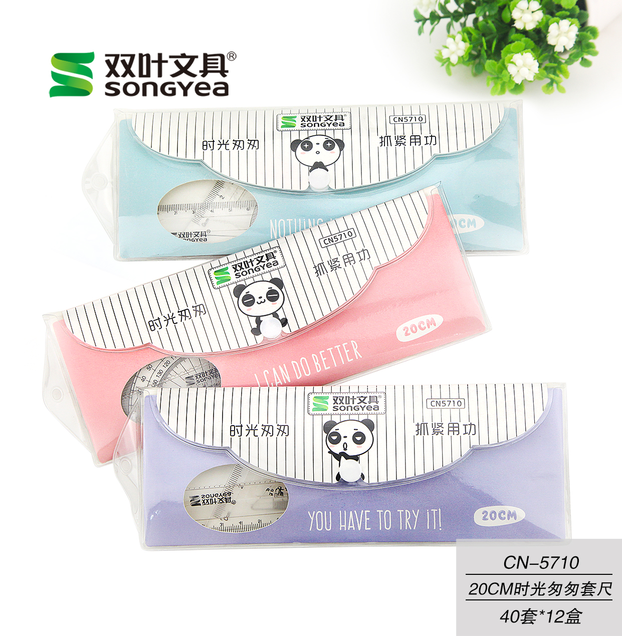 Transparent ruler