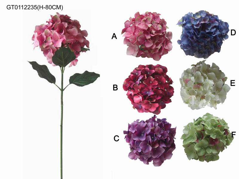 Single hydrangea (H-80CM)(spring)*