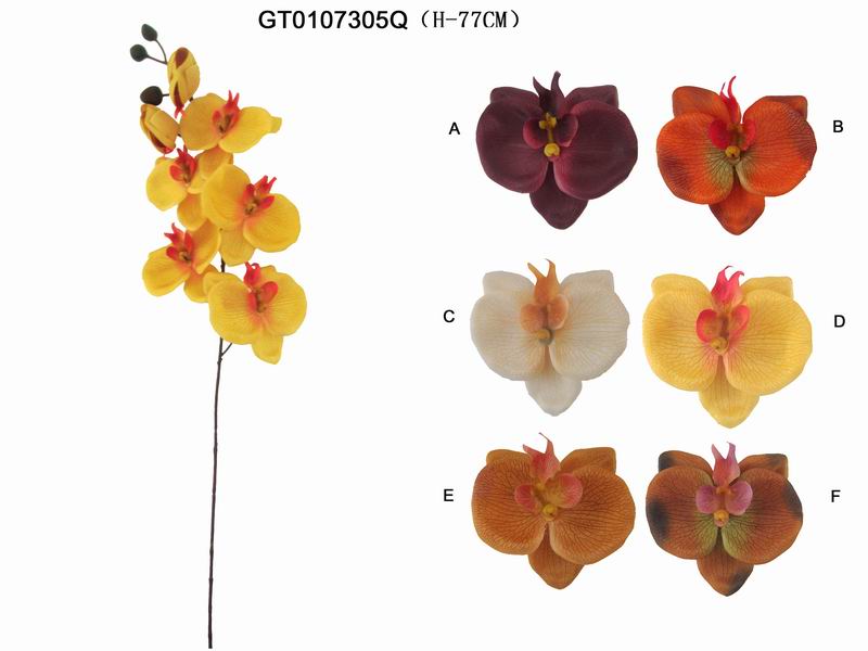 Single phalaenopsid x7(H-76CM)(autumn)