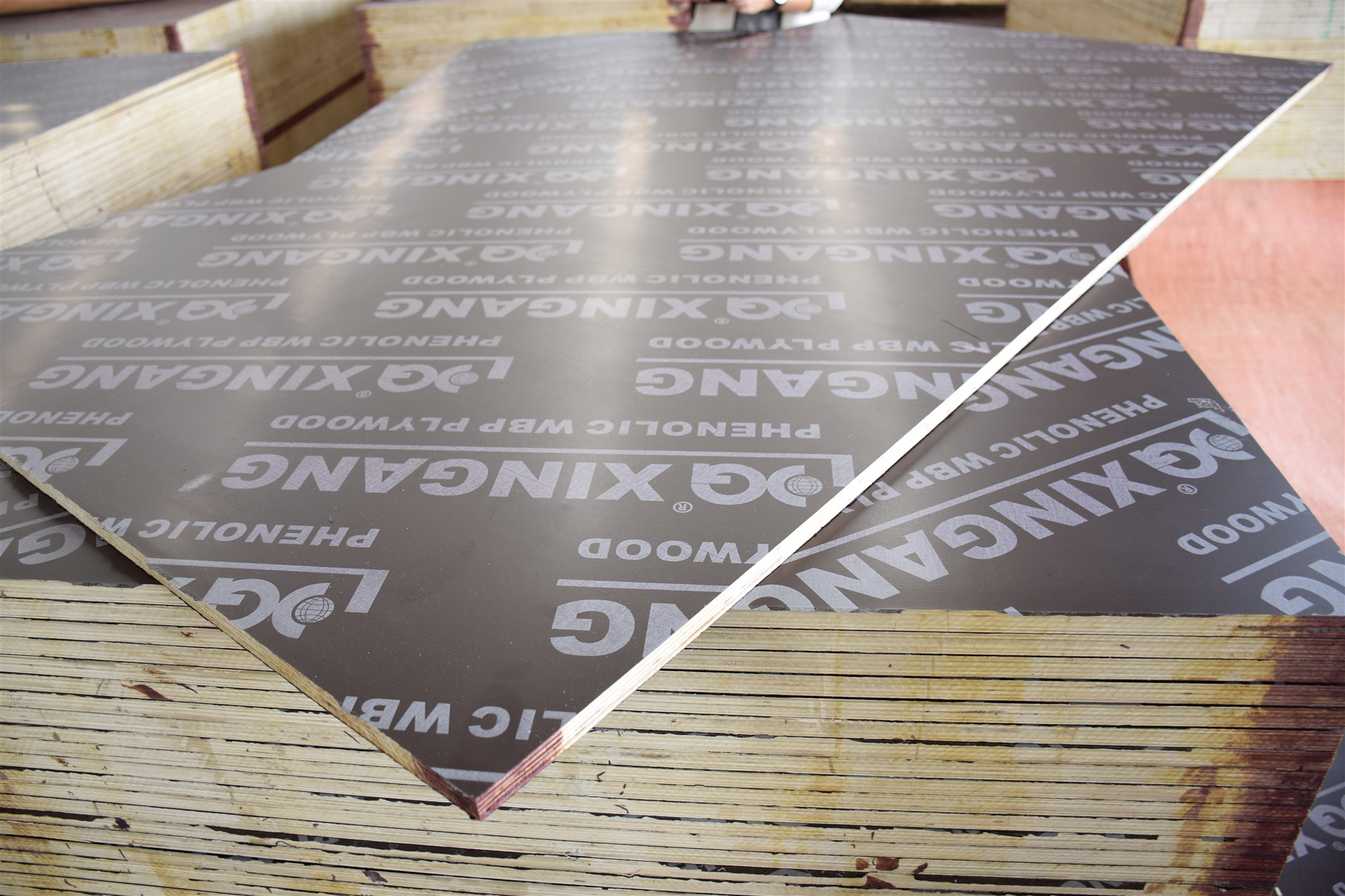 Xingang Film Faced Plywood