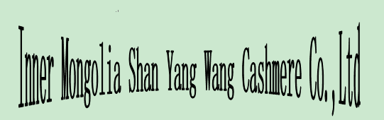 Inner Mongolia Shanyangwang Cashmere Co., Ltd. – Product photos 2