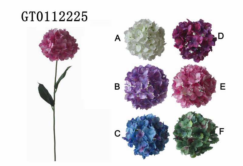 Single hydrangea (H-72CM)(spring)*