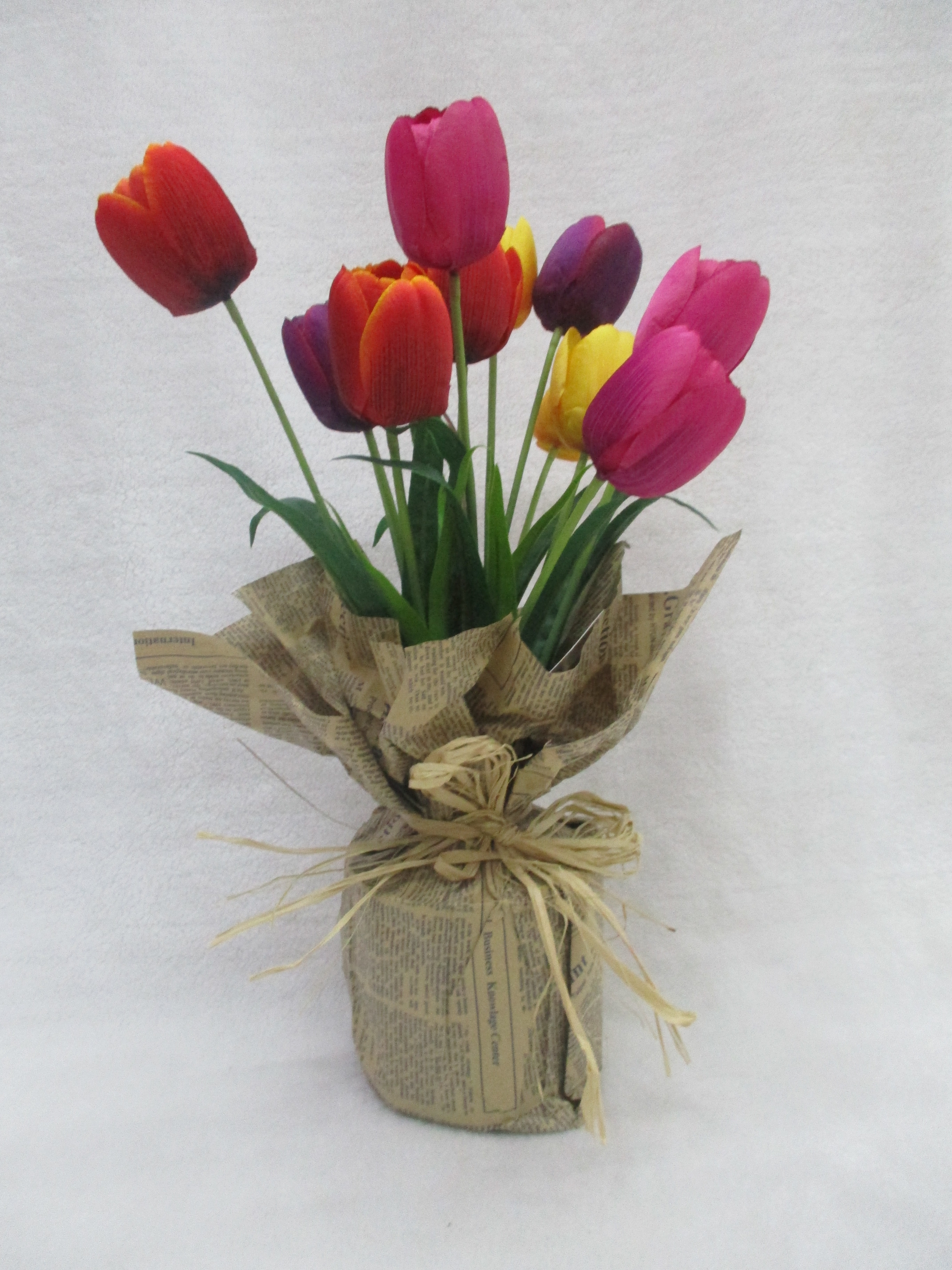Potted Tulip