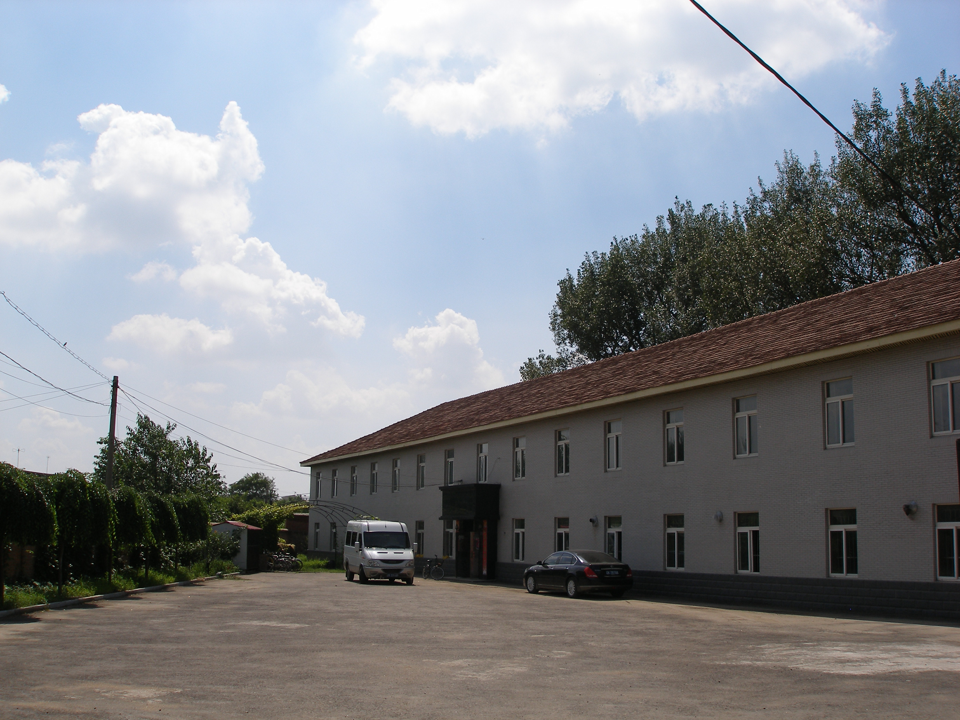 Liaoyang Honghong Cheng Handicraft Factory – Artificial flowers and fruits 1