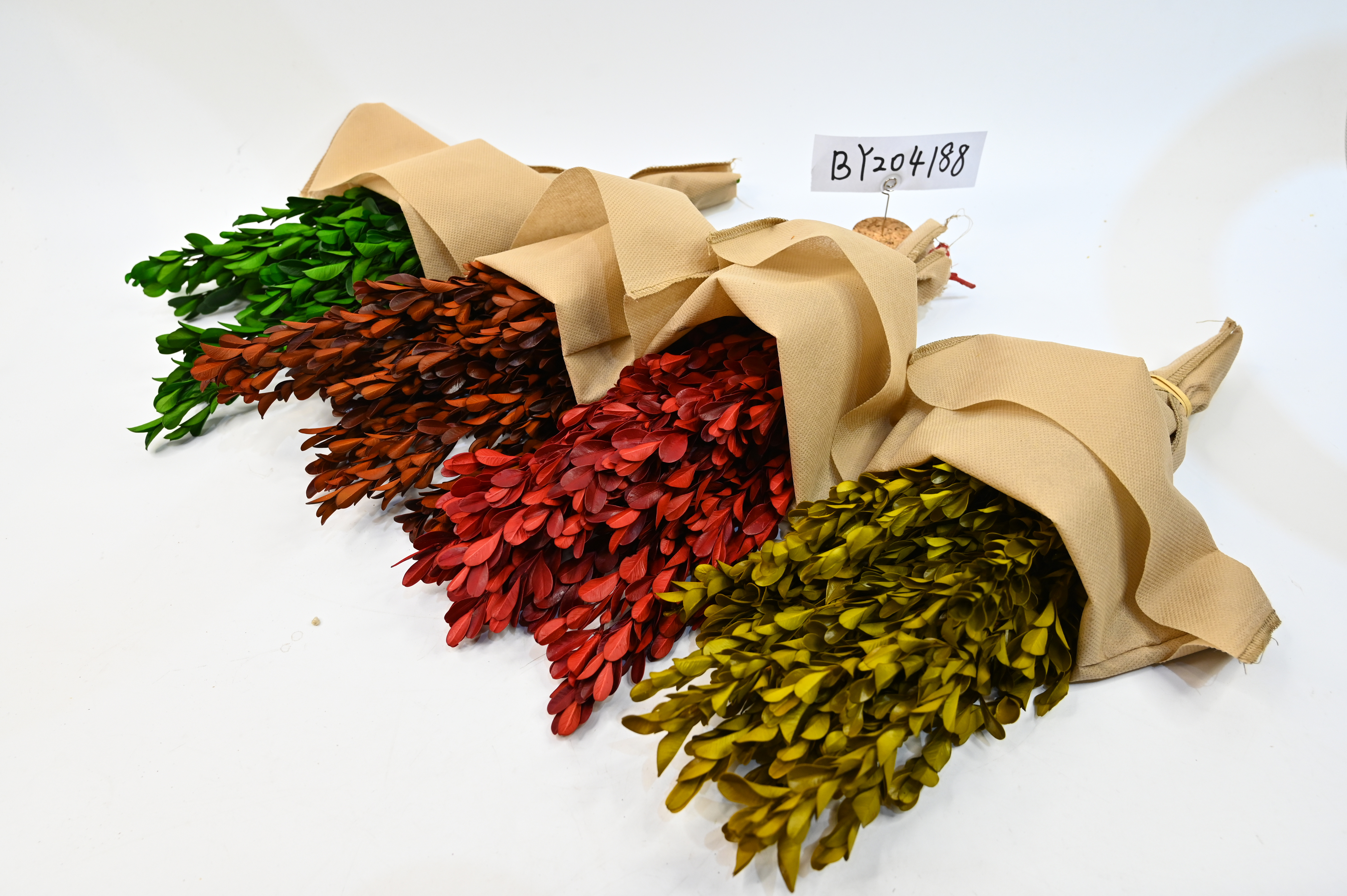 preserved plant