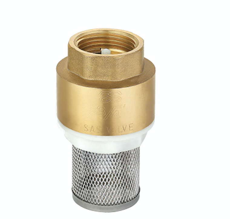 Brass check valve with stainless steel filter