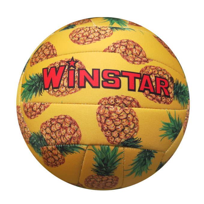 beach volleyball