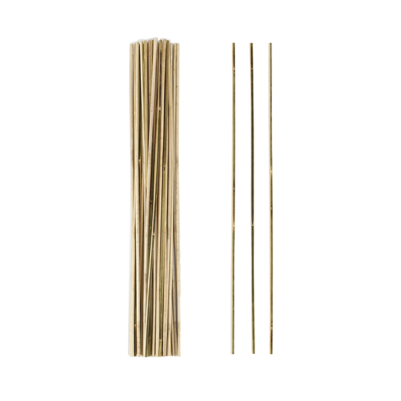 Plant Support Bamboo Stick
