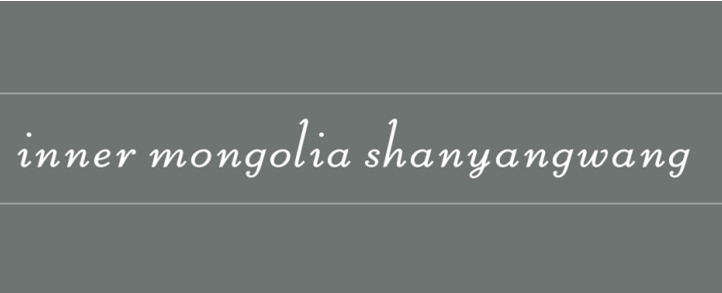 Inner Mongolia Shanyangwang Cashmere Co., Ltd. – women's sweater 1