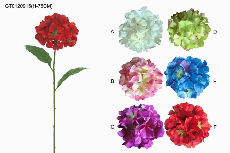 Single hydrangea(spring)(H-75CM)