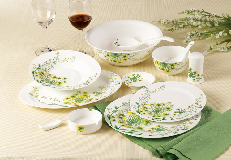 ceramic dinnerware