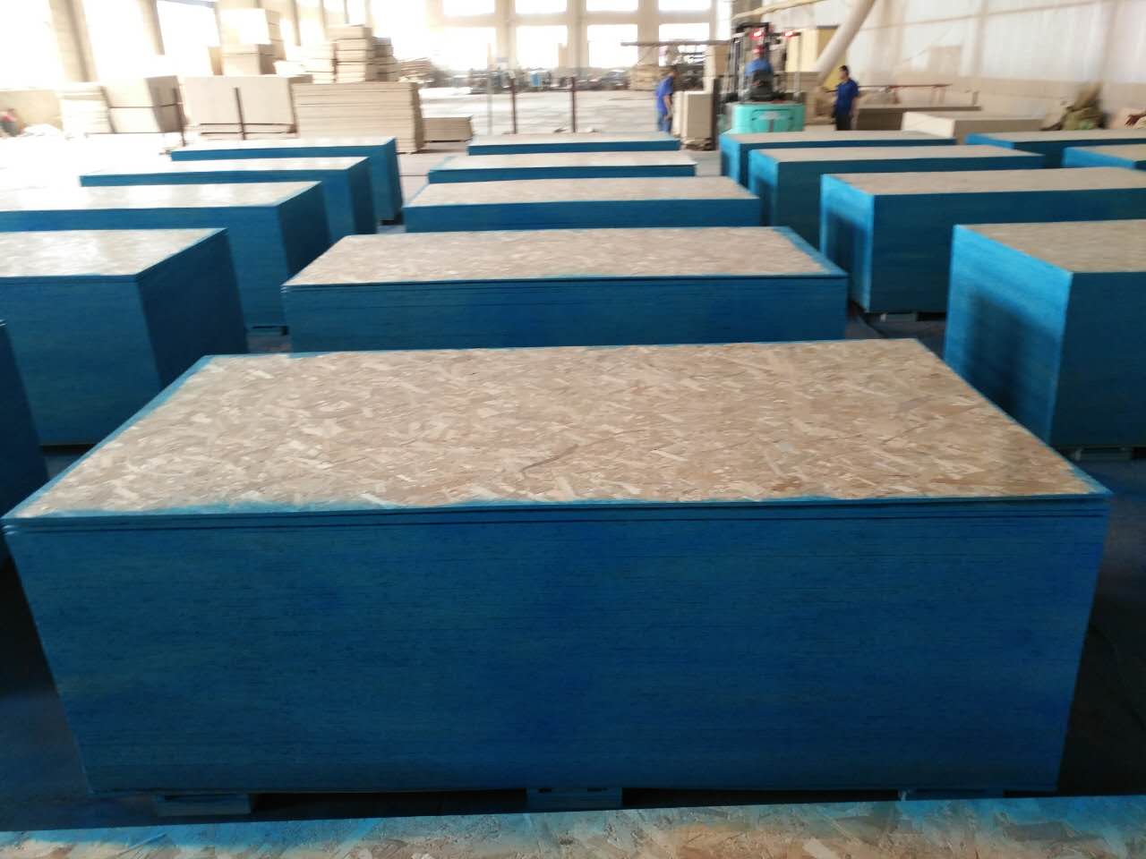 Cheap OSB3/18mmOSB Board/Oriented strand board