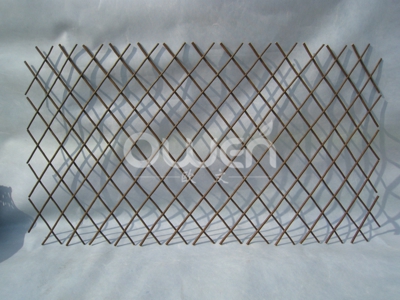 Willow trellis