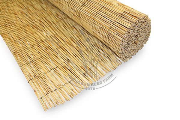 Reed Fence