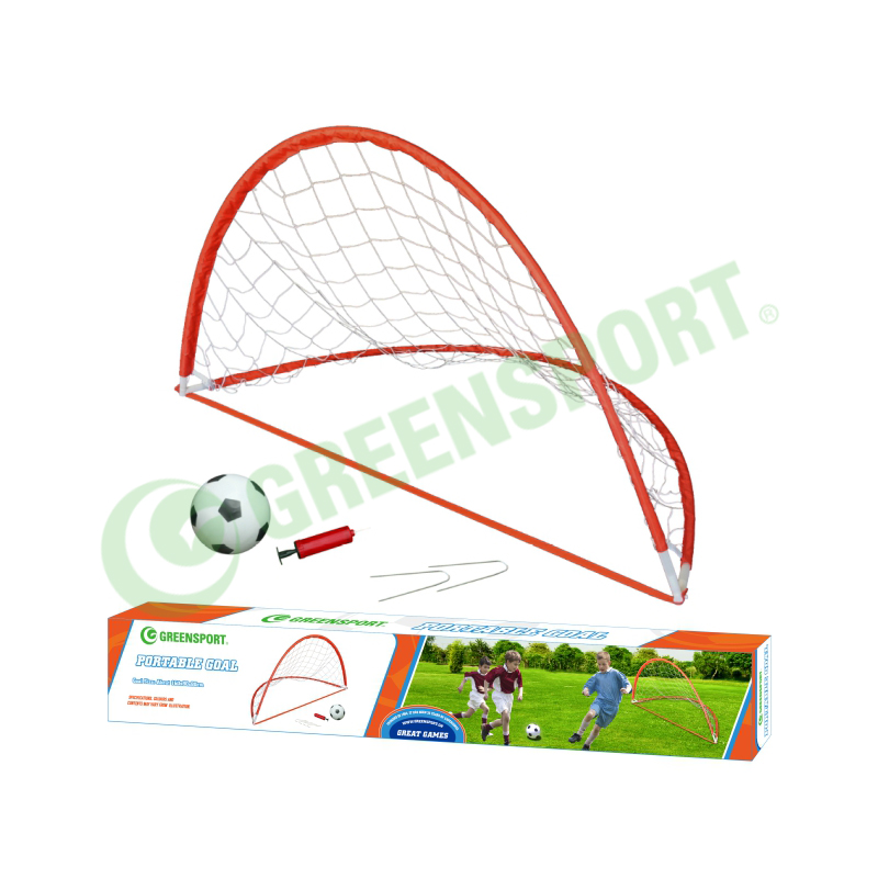 Portable goal