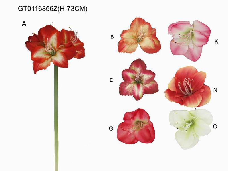 Single amaryllis(H-73CM)