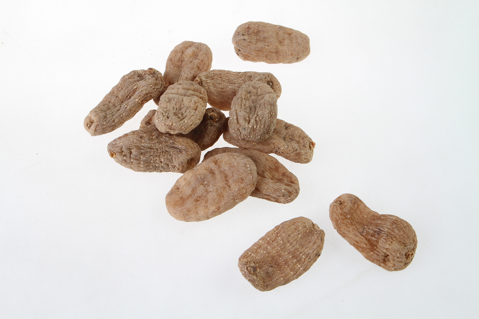 Gastrodia elata Bl.