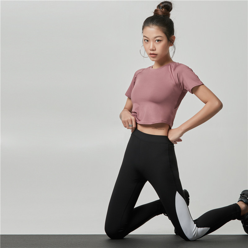 Hot Selling Quick Dry Fitness Bra Set High Waist Seamless Yoga Pant
