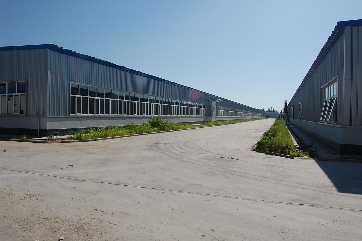 Yangyuan Daxin Ceramic Co., Ltd. – other household ceramics 3