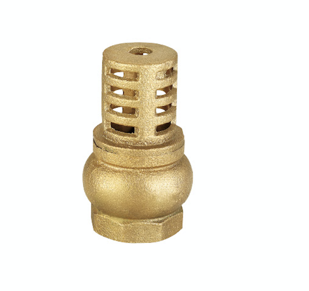 Brass Double Guide Foot Valve