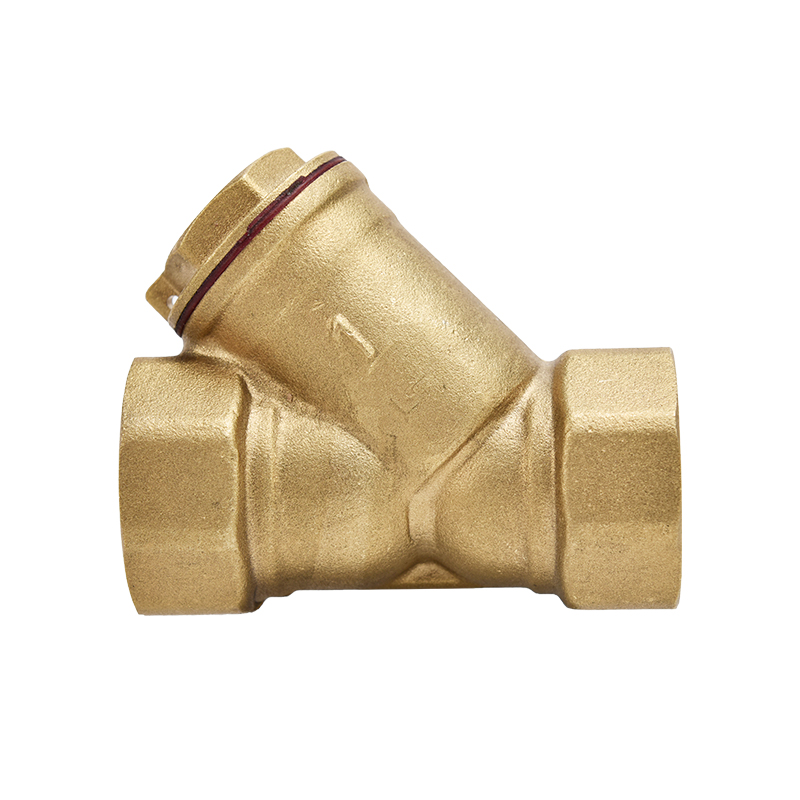 DOZ 1‘’ Check Valves