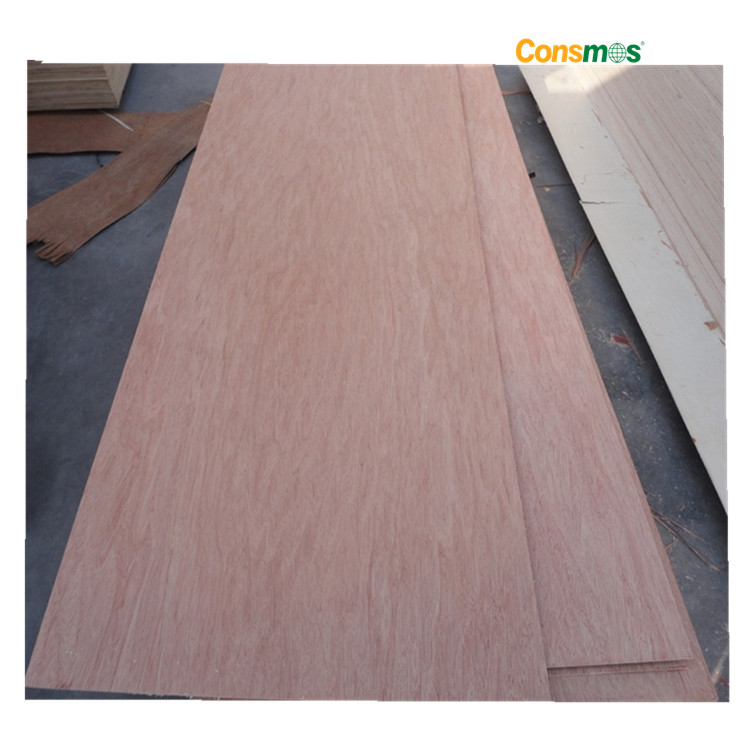 2.7mm 3mm Door Skin Plywood/ Door Size Plywood
