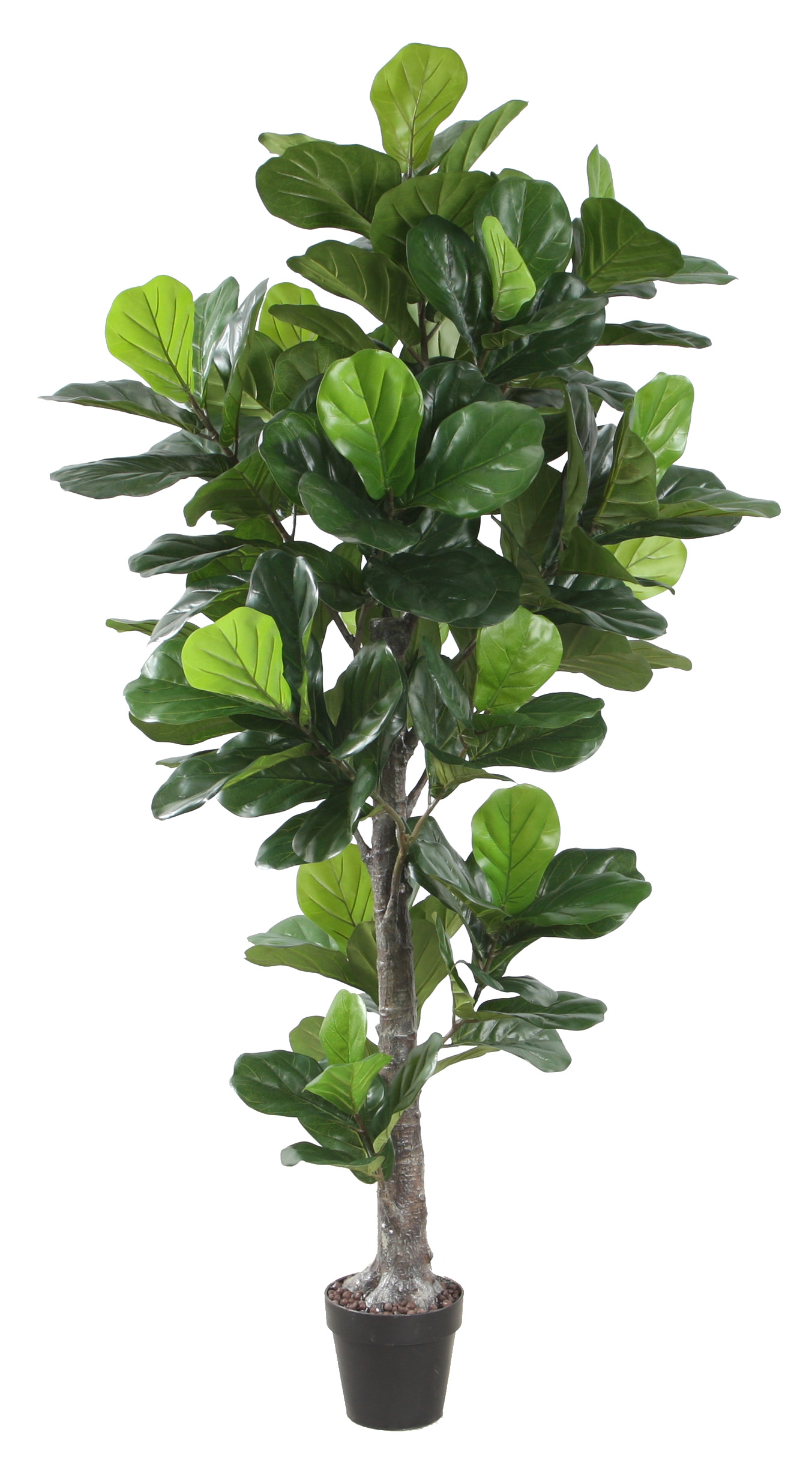 190CM Fiddle Leaf Tree