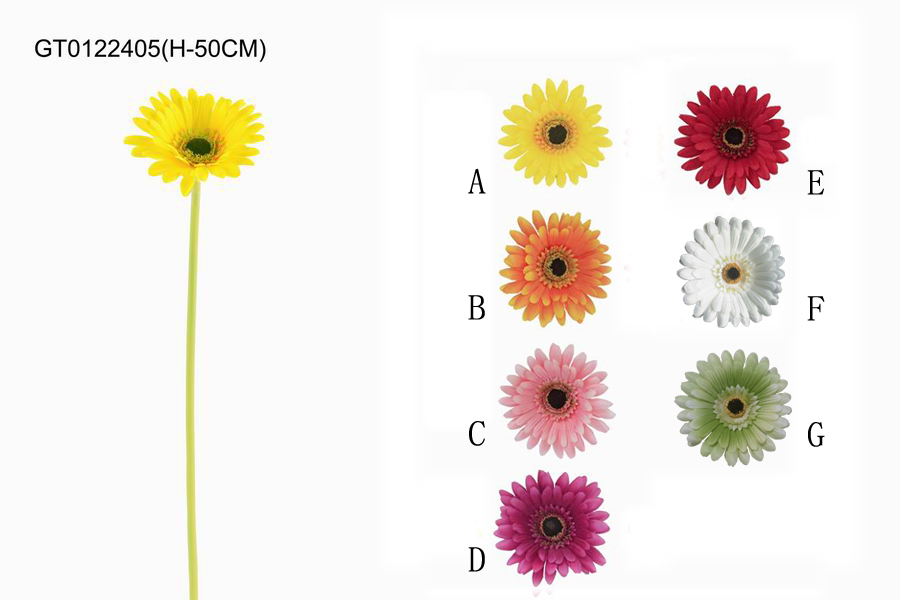 Single gerbera(H-50CM)