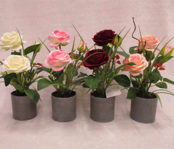8#potted Rose